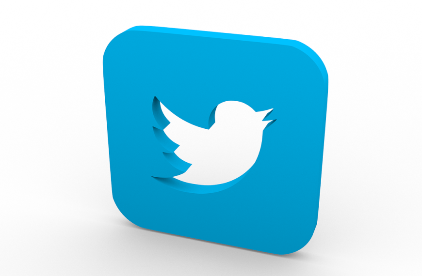 Grafika z obrazkiem symbolizującym logo Twittera